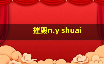 摧毁n.y shuai